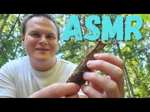 ASMR - Outside Fast and Aggressive Triggers - Nature, Soft Spoken, Whispers