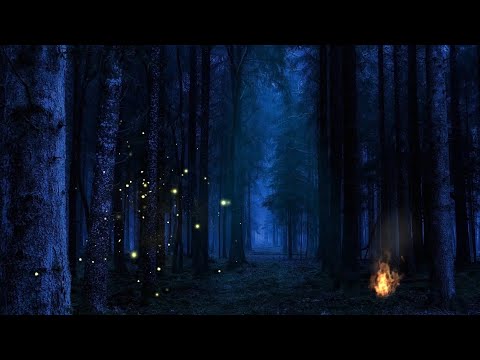 ASMR| Dark Forest| Fireflies+Bonfire+Rain+Thunder+Wind for BACKGROUND