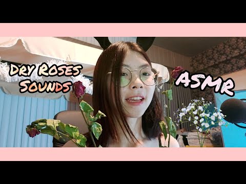 ASMR INTENSE TINGLES with Dry Flowers (rose) Sounds |asmrคนไทย