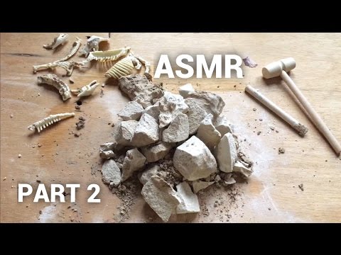 ASMR EXCAVATION KIT