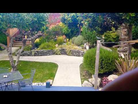 (( ASMR )) explore my airbnb's garden with me!