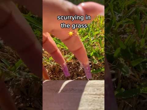 SCURRYING HEAVEN 💚 (In the grass 🔥) #asmr #foryou