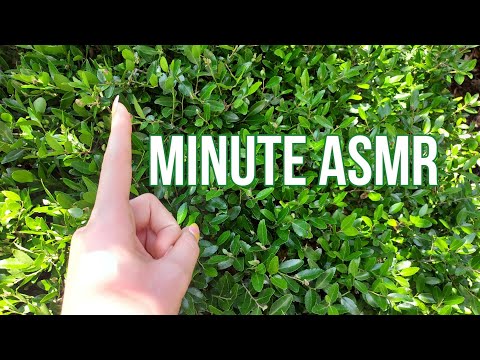 fast and aggressive 1 minute ASMR | outside edition 🌿🌞