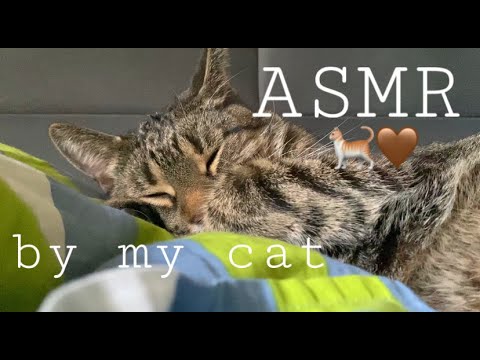 ASMR | My cat's purring for your relaxation ❤️🐈 (purring n breathing sounds)