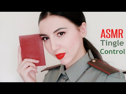 ASMR Tingle Control At Most Relaxing Passport Control - #asmr