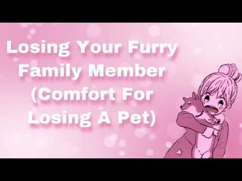 Losing Your Furry Family Member (Comfort For Losing A Pet) (F4A)