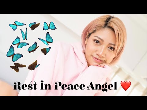 Rest In Peace Hana Kimura (END CYBERBULLYING)