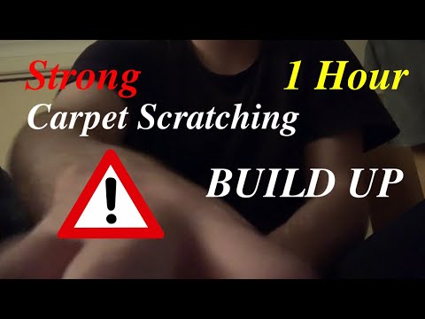 ASMR | 1 Hour Strong Carpet Scratching Build Up | Fast & Aggressive (lofi) Part 2