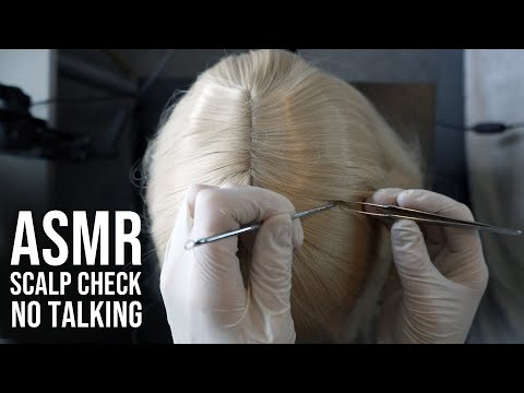 [ASMR] Scalp Check & Hair Play - No Talking [Comb & Brushes]