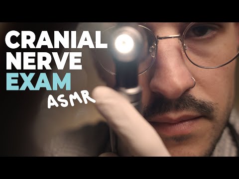 Realistic ASMR CNE (Cranial Nerve Exam) Doctor Exam For Sleep