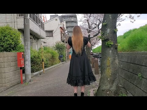 ASMR Ambient Nature Sounds In Japan | Eating food under Sakura Trees