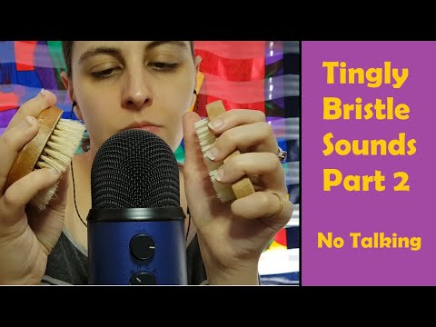 ASMR Tingly Bristle Sounds & Bristle Brushing Part 2 - No Talking After Intro, No Mic Scratching