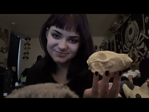 ASMR RP | Holiday Shopping At The Oddities Store 🛍️☠️