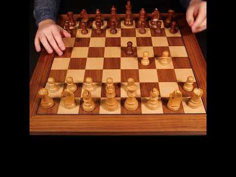 Fastest Checkmate Possible in Chess ♚ ASMR
