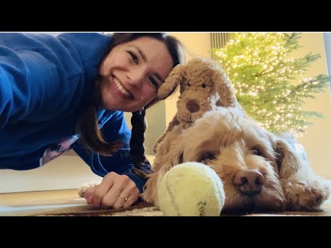 ASMR My 1st Video with a Dog - Goldendoodle Pelle (lots of mouth sounds lul, brushing & having FUN)