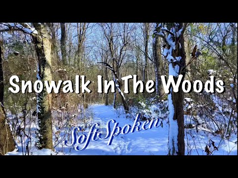 ASMR Snow Walk in the Woods (Soft Spoken)Crunchy footsteps/Nature sounds/No talking version tomorrow