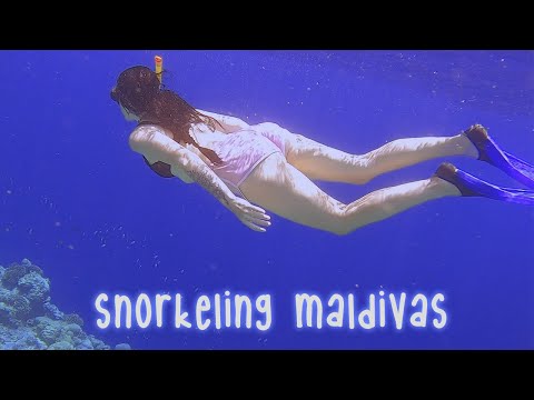 ASMR ♡ MERGULHANDO NAS MALDIVAS