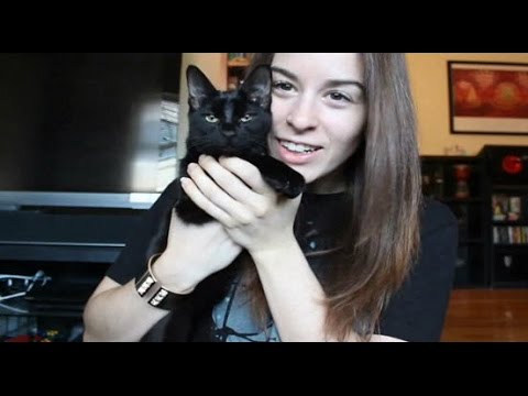 Whisper/ASMR Special Edition - Meet my new kitten, Stimpy! Tapping, crinkles, whisper ramble :)