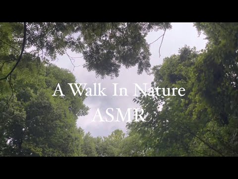 A Walk In Nature | ASMR