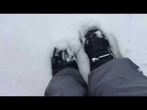 ASMR- Walking in Winter Wonderland 🌨