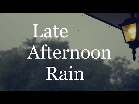 Late Afternoon Rain ( 1 Hour of Rain Sounds )
