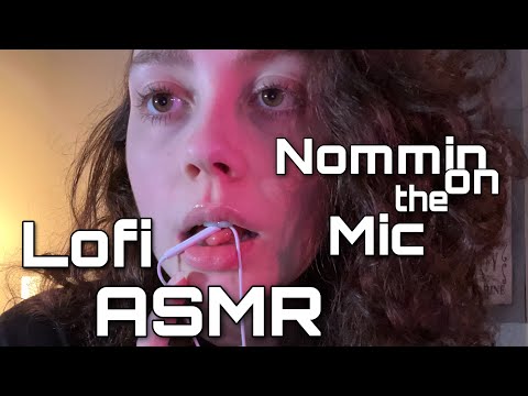 ASMR | The Mic in my Mouth | Mic Nibbling, Mouth Sounds, and Tongue Sounds | Lofi ASMR