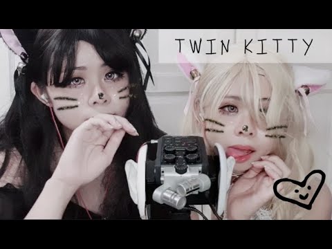 [ASMR] Twin Kitty 17 Triggers (Licking+Meow+Purr+More) | Birthday Special