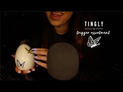 ASMR Tingly Trigger Assortment 💤 with Long Nails, Tapping, & Scratching💫  40 MIN😴