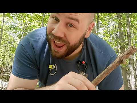 ASMR Semi-Chaotic Woodland Relaxation!
