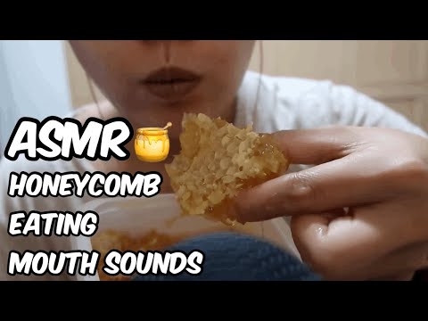 ASMR - Honeycomb Eating Mouth Sounds No Talking 입소리