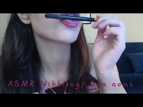 ASMR Nibbling / nom noms