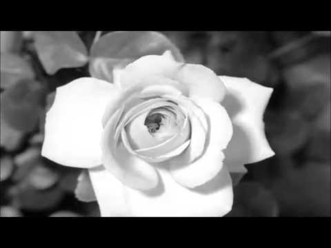 Lana del Rey - Carmen acoustic FANMADE VIDEO (a tribute to Brigitte Bardot)