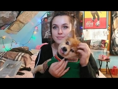 ASMR- Tapping & Scratching On My Dog lol