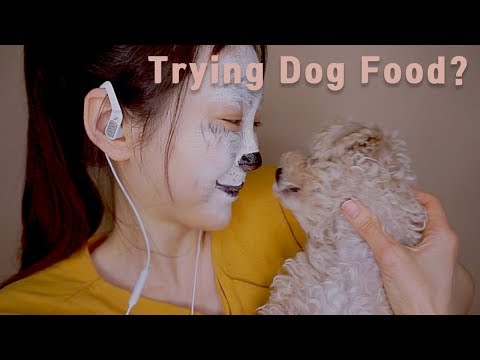 ASMR I'm a doggy today🐶Crinkle Scratching Brushing No Talking