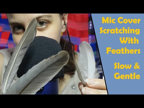 ASMR Mic Scratching with Feathers - Slow & Soothing Background ASMR - No Talking