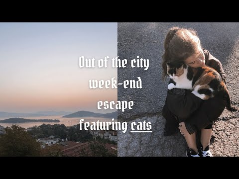 Weekend Escape in Nature 🐱 / Vlog Princes Island, Istanbul, Turkey
