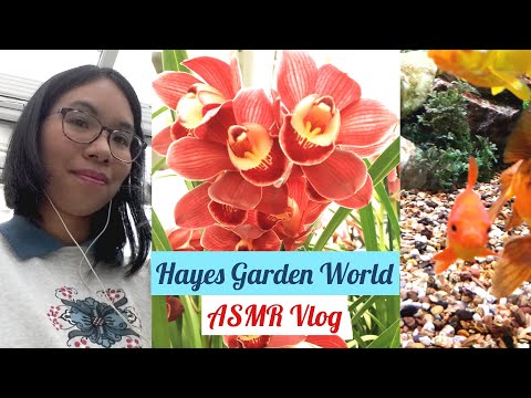 ａｓｍｒ: Hayes Garden World #Vlog 🌸🐠 Soft-Speaking + Ambient Nature Sounds