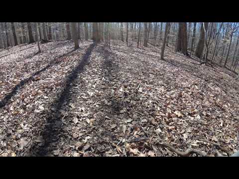 ASMR Hiking Binaural Sunny Winter Hike with Crunchy Leaves and Branches (Full Video)