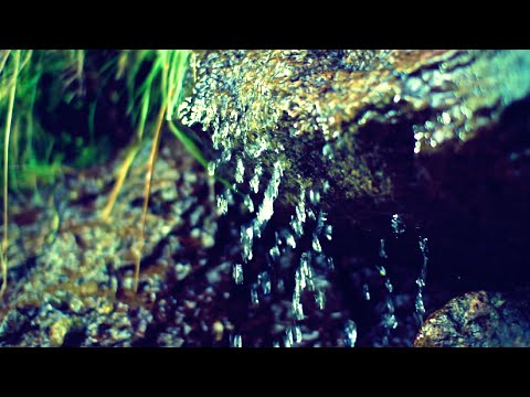 [ASMR] WATER flowing in Nature (from big CREEK down to small DROPS)