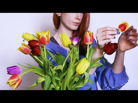 ASMR 1 Hour Of Creaky, Squeaky, Tulips For Your Tingles 🌷 (No Talking)