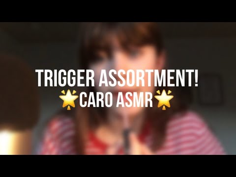 ASMR ~ Trigger Assortment | (Mic Brushing, lipgloss, Scrathing..)