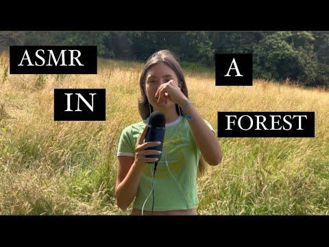 ASMR in a forest - ( tree tapping, scratching, leaf crunching)