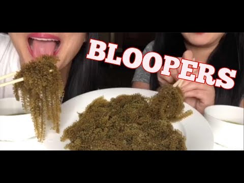 BLOOPERS | SAS-ASMR