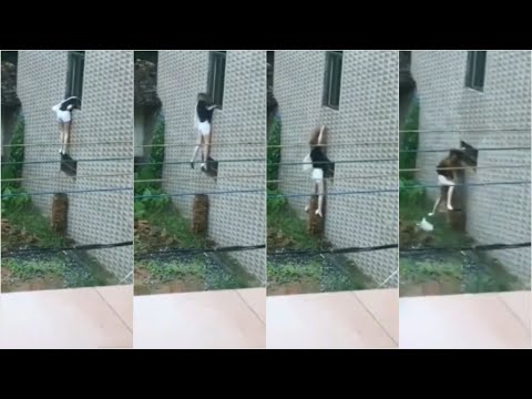 Best Funny Comedy Videos Tik Tok China Compilation 2022