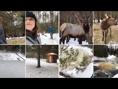 Crushing Canoes trip! Waterfalls and snowshoeing! Vlog/ ASMR(Seeing Canadian elk!)