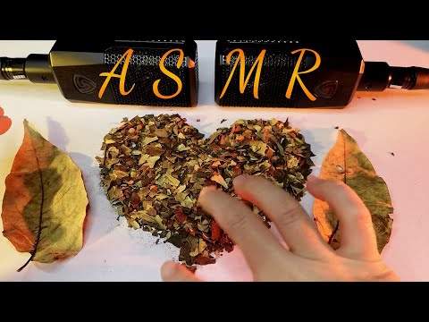 🍁 ASMR crunchy autumn leaves from the crinkle heaven (no talking) 🍁