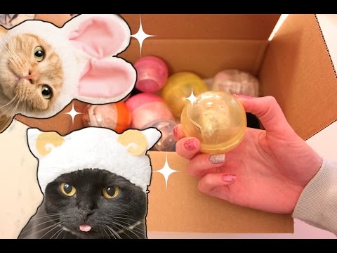 Opening lots of Gashapon [surprise capsule toys] from Japan! (ASMR soft spoken/whisper and crinkles)