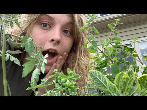 ASMR│Showing You My Garden! Peaceful and Relaxing ♡
