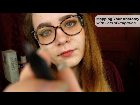 Palpation & Education ASMR 🩺 Mapping Your Face, Head, & Neck Muscle Anatomy 🖋 Soft Spoken Medical RP
