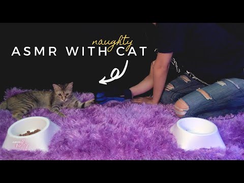 ASMR with Cat | Eating Sounds, Scratching & Playing (No Talking)